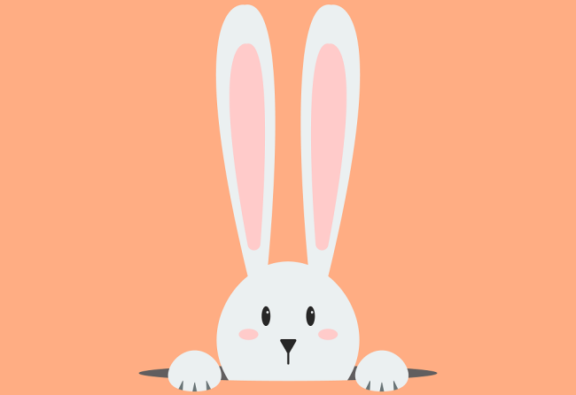 ¿Me puedes dar un conejo por favor? ¿Me puedes dar un conejo por favor?
