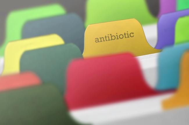 Los 5 consejos de la OMS para combatir la resistencia a los antibióticos Los 5 consejos de la OMS para combatir la resistencia a los antibióticos