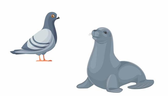 La extraña petición de "aves" y "focas" La extraña petición de "aves" y "focas"