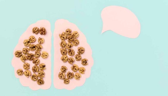 Alimentación para las neuronas Alimentación para las neuronas